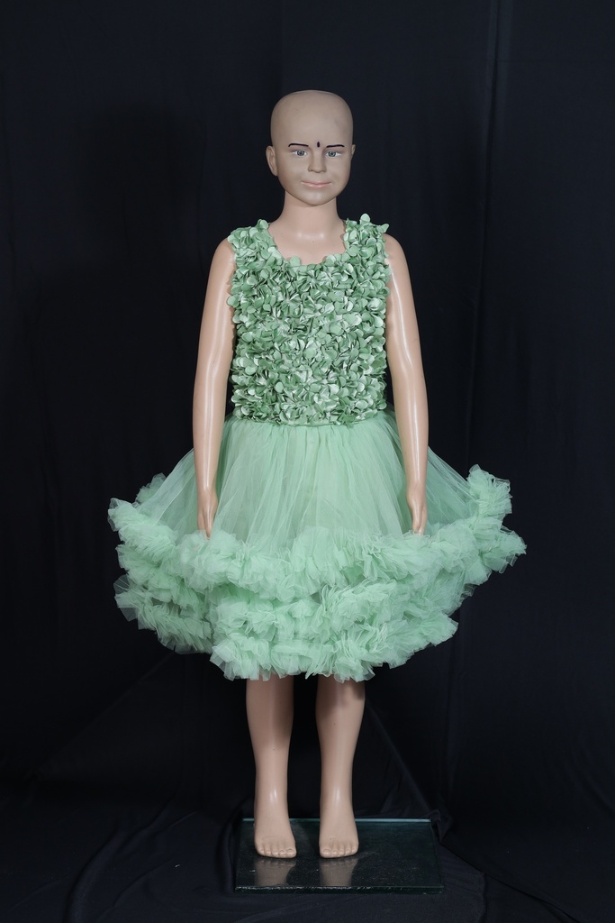 Fancy Net Floral Frock