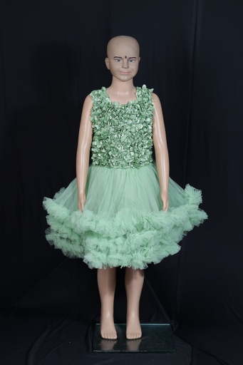 Fancy Net Floral Frock